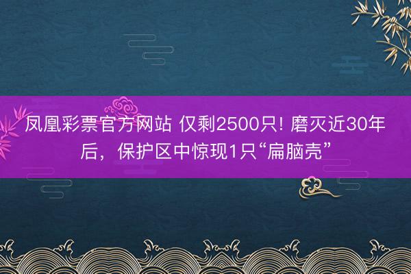 凤凰彩票官方网站 仅剩2500只! 磨灭近30年后,保护区中惊现1只“扁脑壳”