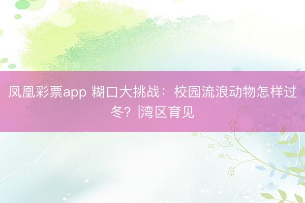 凤凰彩票app 糊口大挑战：校园流浪动物怎样过冬？|湾区育见