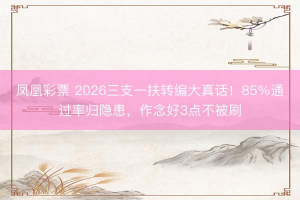 凤凰彩票 2026三支一扶转编大真话！85%通过率归隐患，作念好3点不被刷
