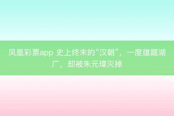 凤凰彩票app 史上终末的“汉朝”,一度雄踞湖广,却被朱元璋灭掉
