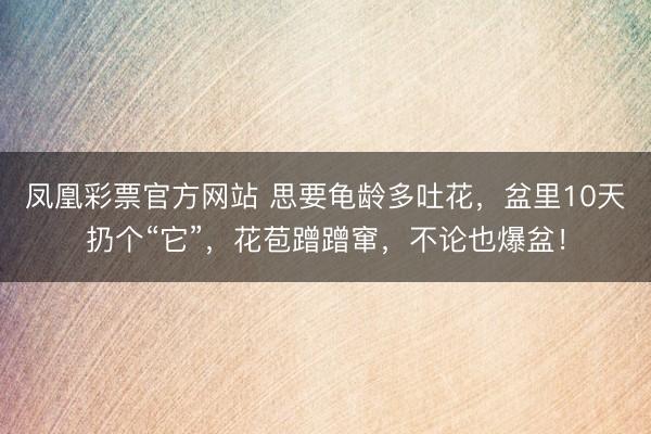 凤凰彩票官方网站 思要龟龄多吐花，盆里10天扔个“它”，花苞蹭蹭窜，不论也爆盆！